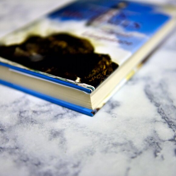 Sweet Vengeance * Fern Michaels - Picture 6 of 7